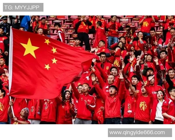 中国足球的困境与反思退出之路的深层原因与未来展望 中国足球的困境与反思退出之路的深层原因与未来展望